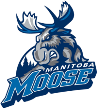 Manitoba Moose