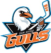 San Diego Gulls