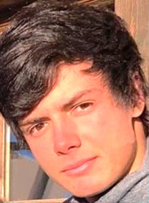 Henrique Ortenblad Nogueira