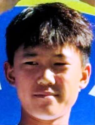 Hongjin Qi