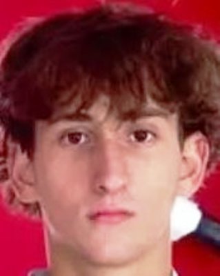 Ilija Palavestra