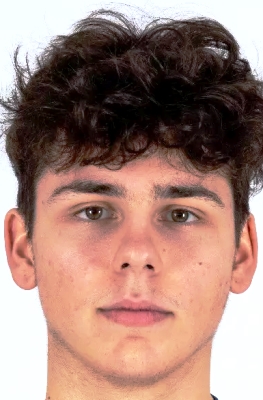 Stefan Vedovelli