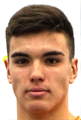 Todor Vukomanovic
