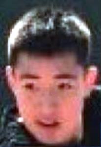 Majun Li
