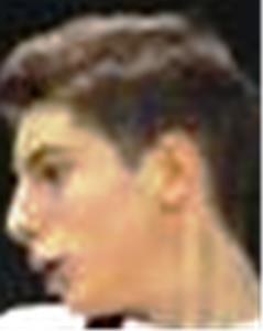Nicolas Carlone