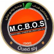 Oued Sly
