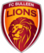 Bulleen Lions