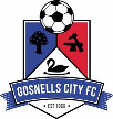 Gosnells City