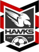 Holland Park Hawks