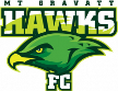 Mt Gravatt Hawks Mt Gravatt Hawks
