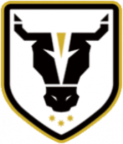 Bulls Academy