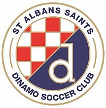St Albans Saints