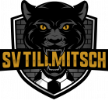 Tillmitsch