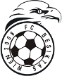 Beşiktaş Wien
