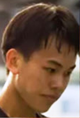 Zhe Ying Wu