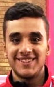 Adham Hatem Elgamal Adham Hatem Elgamal