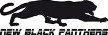 New Black Panthers Ronchi dei Legionari New Black Panthers Ronchi dei Legionari