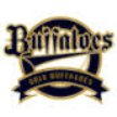 Orix Buffaloes