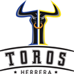 Toros de Herrera Toros de Herrera