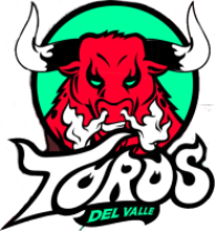 Toros del Valle Toros del Valle