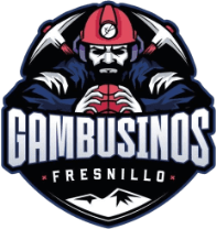 Gambusinos de Fresnillo