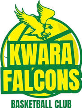Kwara Falcons Kwara Falcons