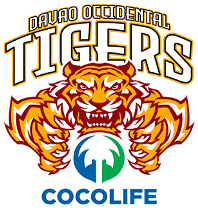 Davao Occidental Tigers
