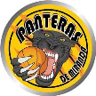 Panteras de Miranda
