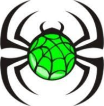 Hornsby Spiders Hornsby Spiders