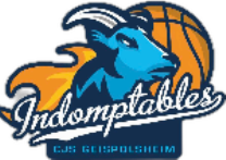 Geisppolsheim