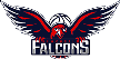 Newcastle Falcons Newcastle Falcons