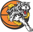 Willetton Tigers