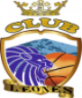 Leones de Potosi