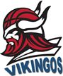 Vikingos Tarija Vikingos Tarija