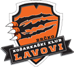 Lavovi Brčko
