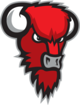 Bisons Loimaa