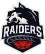 Raiders Basket