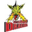 Artland Dragons Artland Dragons