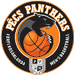 Pecsi VSK Panthers