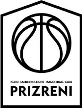 Ponte Prizreni