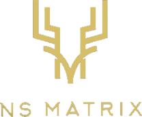 NS Matrix