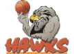 Hawkes Bay Hawks