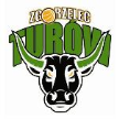 Turów Zgorzelec Turów Zgorzelec