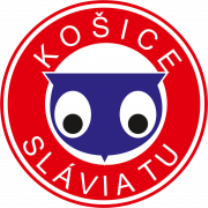 Slávia TU Košice
