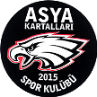Asya Kartallari