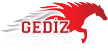 Gediz Üniversitesi