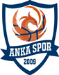 İstanbul Anka Spor