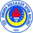 TED Ankara Kolejliler