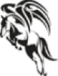 Gyrat