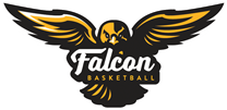 Falcon Falcon